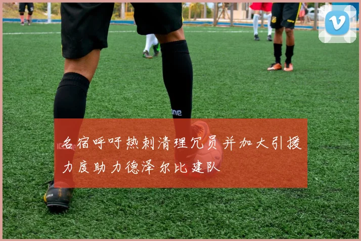 名宿呼吁热刺清理冗员并加大引援力度助力德泽尔比建队